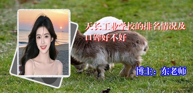 天长工业学校的排名情况及口碑好不好