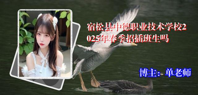 宿松县中德职业技术学校2025年春季招插班生吗