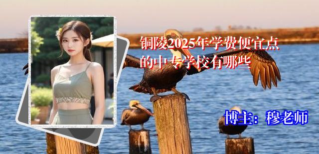铜陵2025年学费便宜点的中专学校有哪些