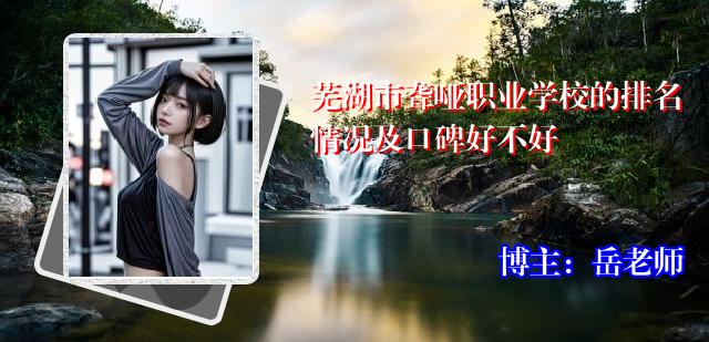 芜湖市聋哑职业学校的排名情况及口碑好不好