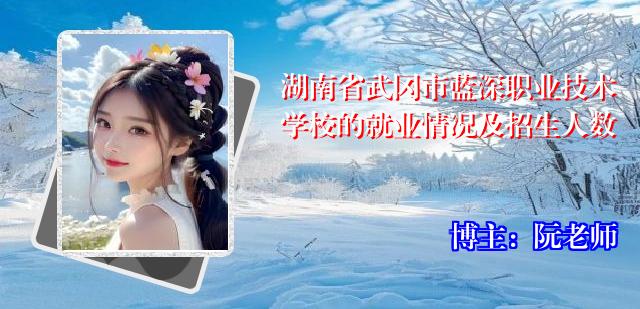 湖南省武冈市蓝深职业技术学校的就业情况及招生人数