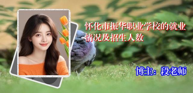怀化市振华职业学校的就业情况及招生人数