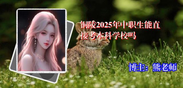铜陵2025年中职生能直接考本科学校吗