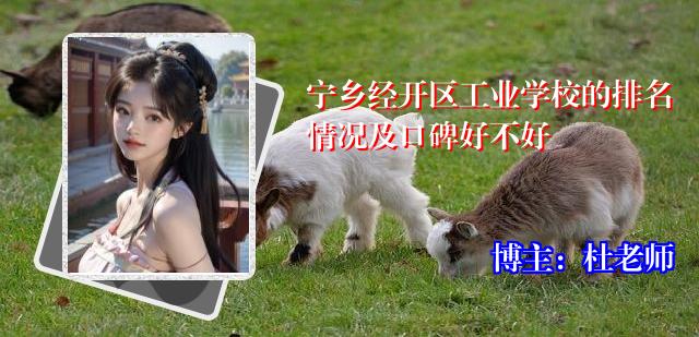 宁乡经开区工业学校的排名情况及口碑好不好