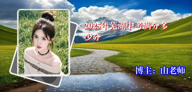 2025年芜湖中考满分多少分