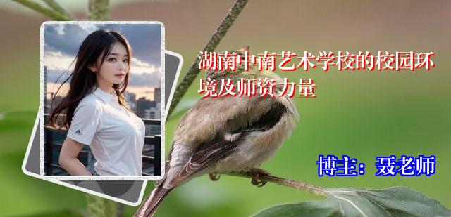 湖南中南艺术学校的校园环境及师资力量
