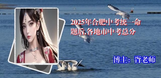 2025年合肥中考统一命题后,各地市中考总分