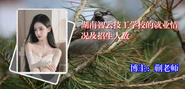 湖南智云技工学校的就业情况及招生人数