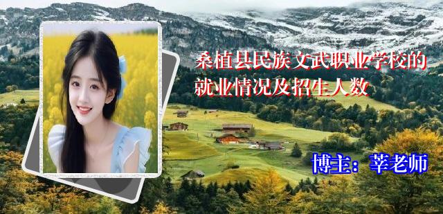 桑植县民族文武职业学校的就业情况及招生人数