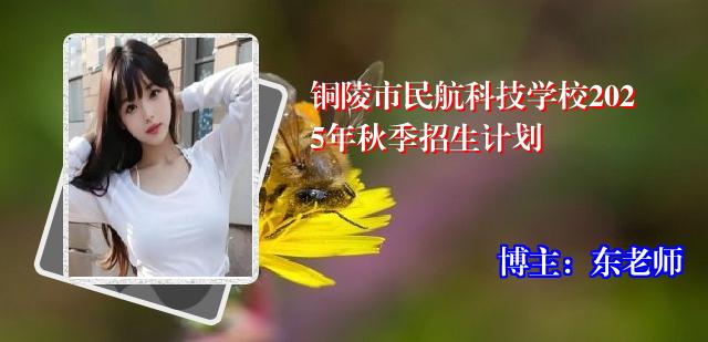 铜陵市民航科技学校2025年秋季招生计划