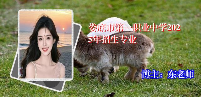娄底市第一职业中学2025年招生专业