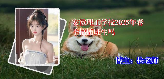 安徽理工学校2025年春季招插班生吗