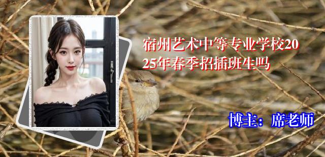宿州艺术中等专业学校2025年春季招插班生吗