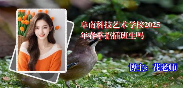 阜南科技艺术学校2025年春季招插班生吗