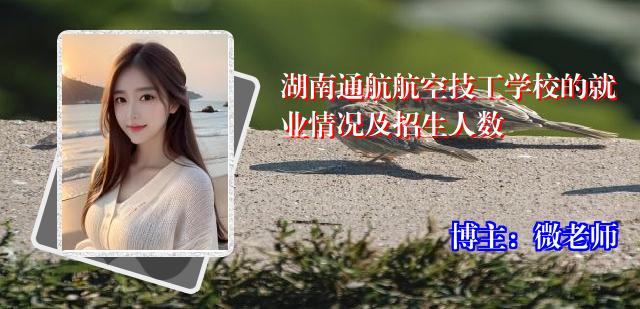 湖南通航航空技工学校的就业情况及招生人数