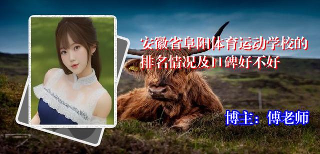 安徽省阜阳体育运动学校的排名情况及口碑好不好