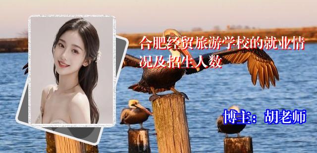 合肥经贸旅游学校的就业情况及招生人数