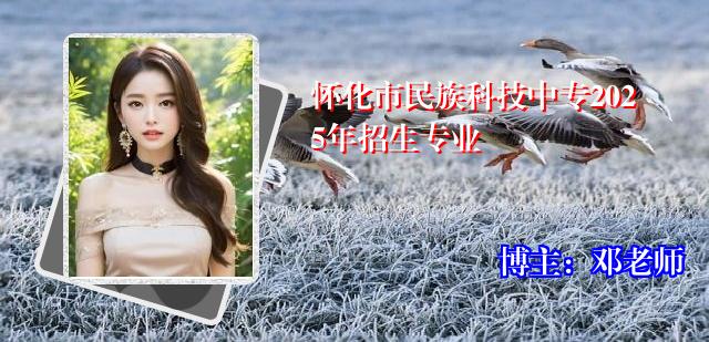 怀化市民族科技中专2025年招生专业
