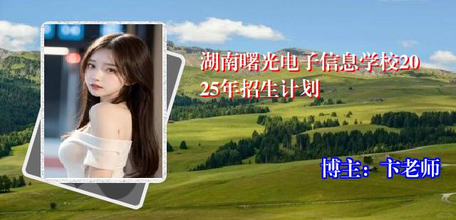 湖南曙光电子信息学校2025年招生计划