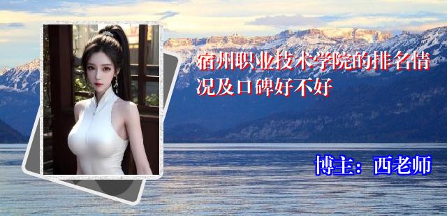 宿州职业技术学院的排名情况及口碑好不好