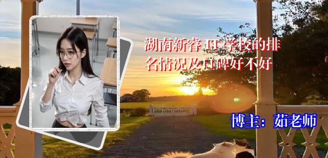 湖南新睿 IT 学校的排名情况及口碑好不好