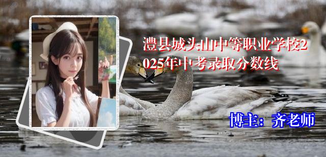 澧县城头山中等职业学校2025年中考录取分数线
