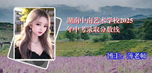 湖南中南艺术学校2025年中考录取分数线