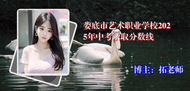 娄底市艺术职业学校2025年中考录取分数线