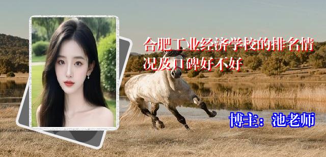 合肥工业经济学校的排名情况及口碑好不好
