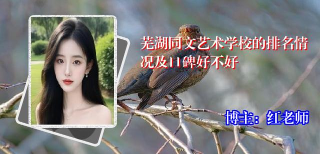 芜湖同文艺术学校的排名情况及口碑好不好