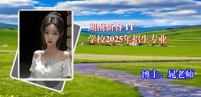 湖南新睿 IT 学校2025年招生专业