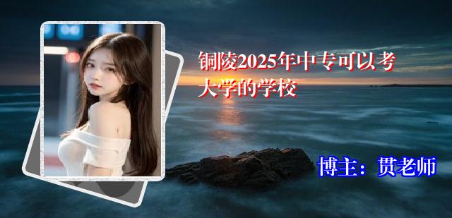 铜陵2025年中专可以考大学的学校