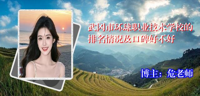 武冈市环球职业技术学校的排名情况及口碑好不好