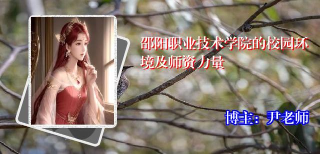 邵阳职业技术学院的校园环境及师资力量