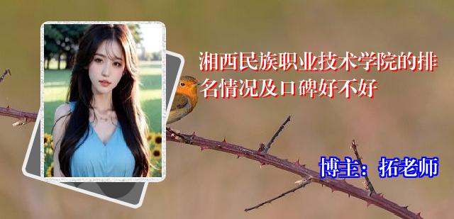 湘西民族职业技术学院的排名情况及口碑好不好