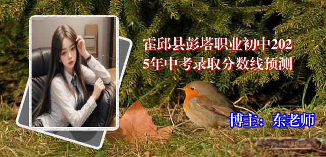 霍邱县彭塔职业初中2025年中考录取分数线预测