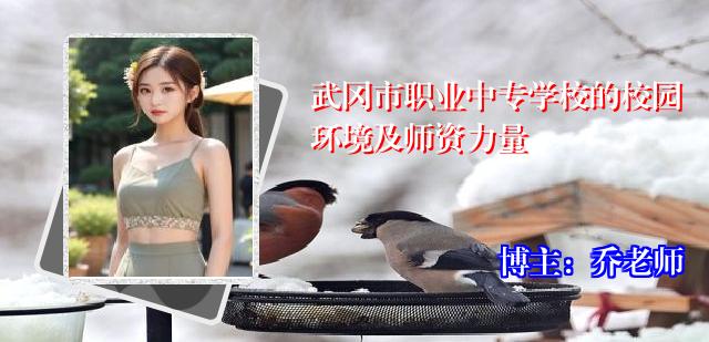 武冈市职业中专学校的校园环境及师资力量