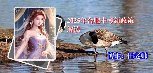 2025年合肥中考新政策解读