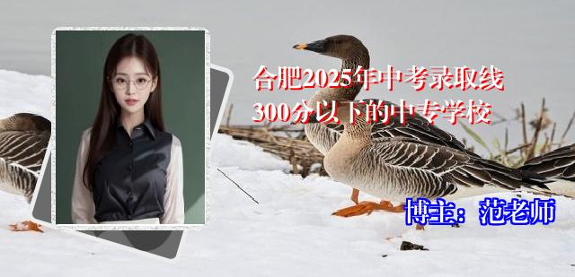 合肥2025年中考录取线300分以下的中专学校