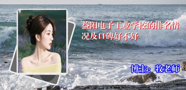益阳电子工业学校的排名情况及口碑好不好