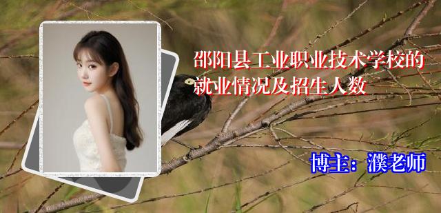 邵阳县工业职业技术学校的就业情况及招生人数