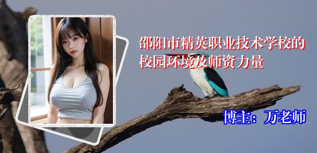 邵阳市精英职业技术学校的校园环境及师资力量