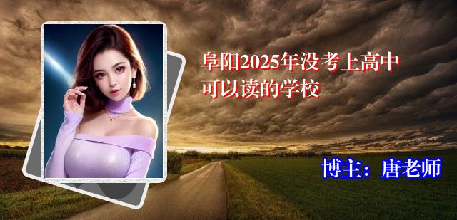 阜阳2025年没考上高中可以读的学校