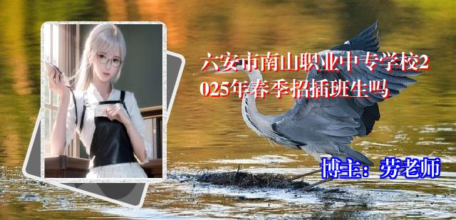 六安市南山职业中专学校2025年春季招插班生吗