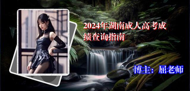 2024年湖南成人高考成绩查询指南