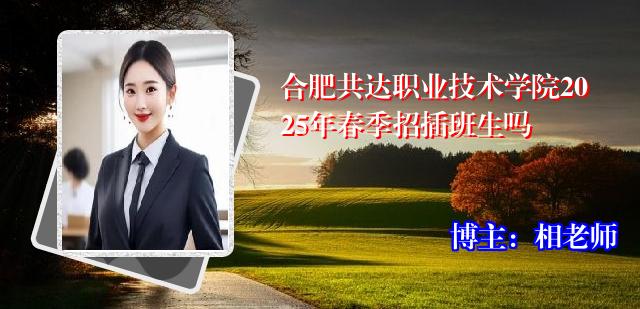 合肥共达职业技术学院2025年春季招插班生吗