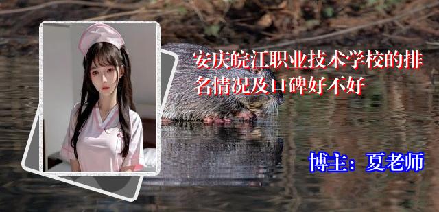 安庆皖江职业技术学校的排名情况及口碑好不好