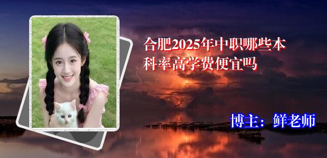 合肥2025年中职哪些本科率高学费便宜吗