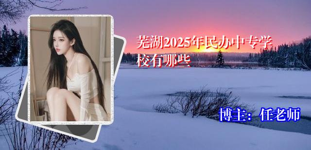 芜湖2025年民办中专学校有哪些