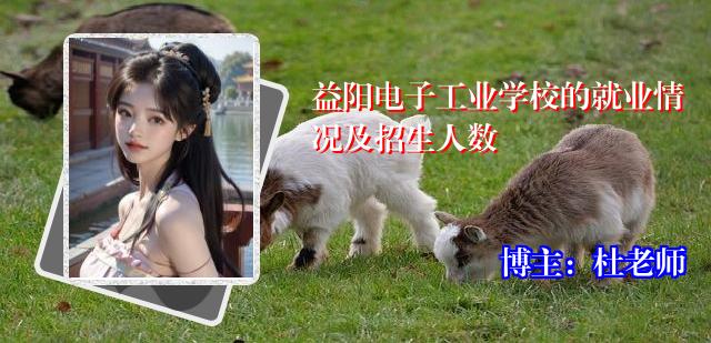 益阳电子工业学校的就业情况及招生人数
